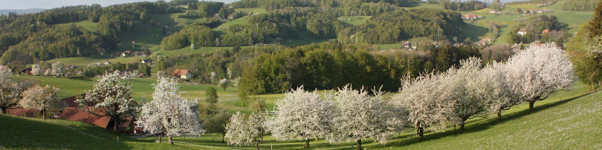Schlossrued Drohnenaufnahme